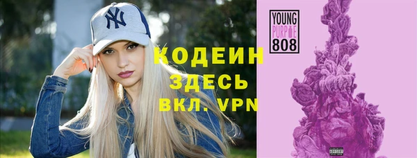 прущие грибы Медногорск