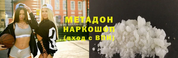 прущие грибы Медногорск