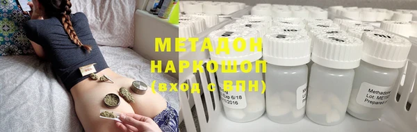 прущие грибы Медногорск