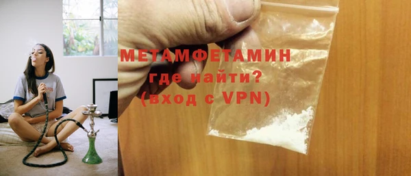 прущие грибы Медногорск