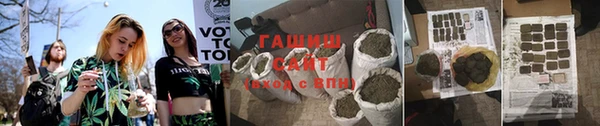 прущие грибы Медногорск