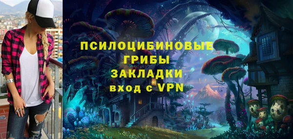 ECSTASY Медвежьегорск