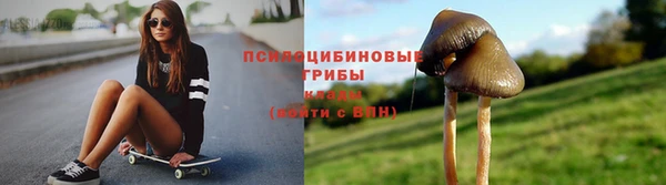 герыч Мегион