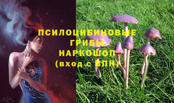 ECSTASY Медвежьегорск