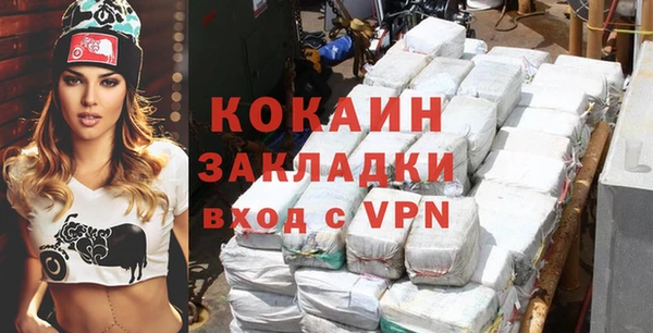 сатива Няндома
