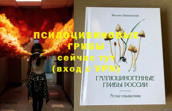 ECSTASY Медвежьегорск