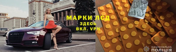 прущие грибы Медногорск
