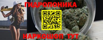 стафф Дубна
