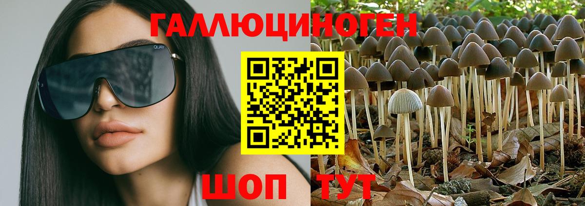 Чистополь  Галлюциногенные грибы MAGIC MUSHROOMS  Вход с VPN  Псилоцибиновые грибы Cubensis 